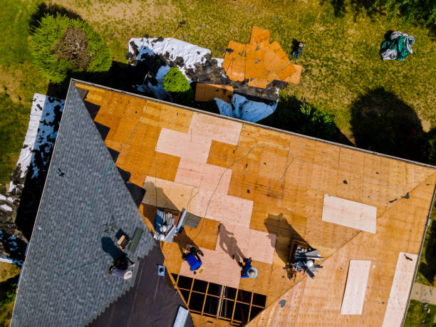 Quick and Trustworthy Emergency Roof Repair Services in Forest View, IL